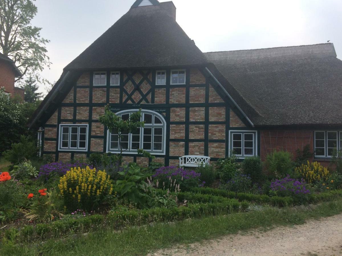 Reetblick Apartment *